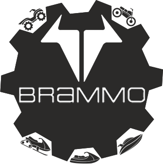 Мотоциклы Brammo