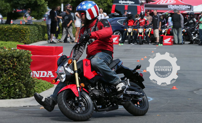 Фото Honda Grom — 10 самых дешёвых уличных мотоциклов 2014 года