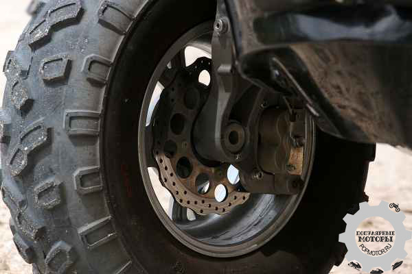 ���� ���������������� Gibbs Quadski - ������