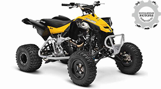 Can-Am DS 450 X mx 2015