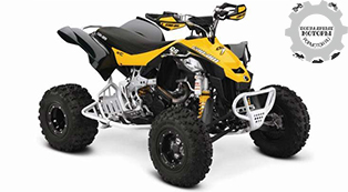 Can-Am DS 450 X xc 2015