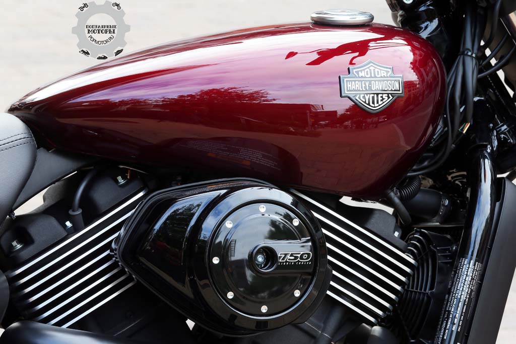 Фото мотоцикла Harley-Davidson Street 750 2015 — бензобак