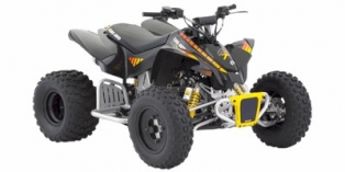 Can-Am DS 90 X 2008