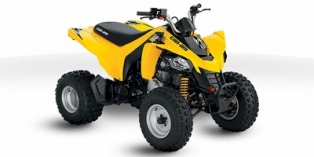 Can-Am DS 250 2011