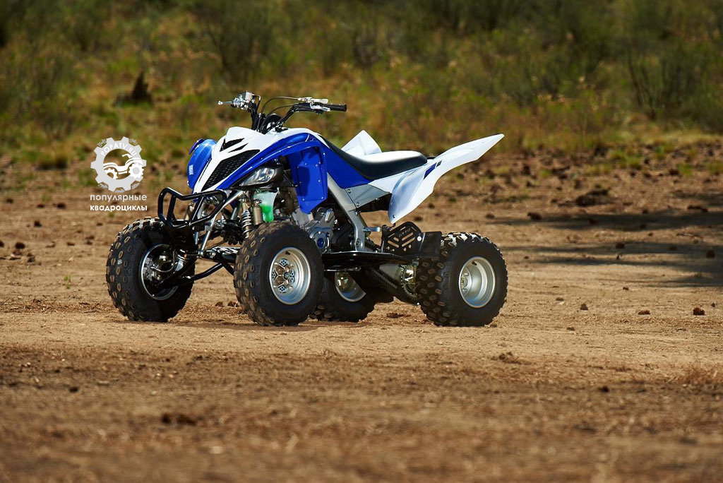 Фото квадроцикла Yamaha Raptor 700R 2013 профиль
