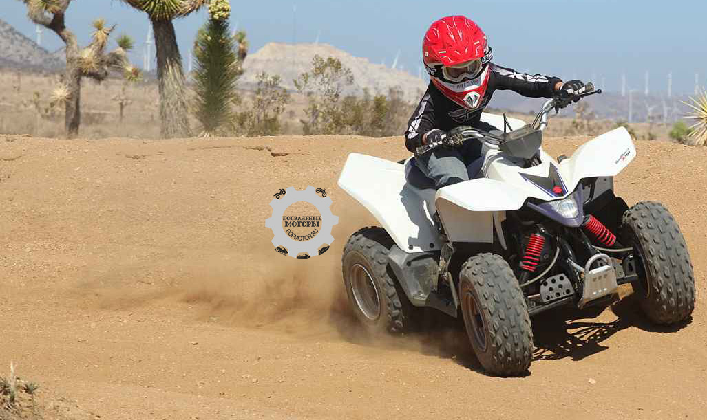 Фото квадроцикла Suzuki Quadsport Z90 2014 - по песку
