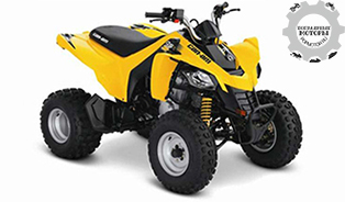 Can-Am DS 250 2015