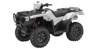Honda FourTrax Foreman Rubicon 4×4 Automatic DCT EPS Deluxe 2016