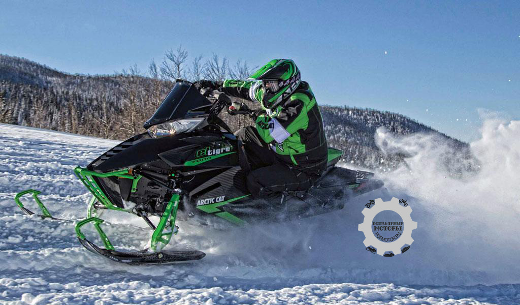 РЎРЅРµРіРѕС…РѕРґ Arctic Cat 5000