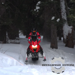Фотография Эксклюзивное видео снегохода Yamaha SRViper M-TX 2015