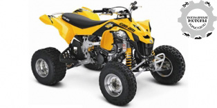 Can-Am DS 450 2014