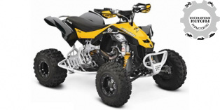 Can-Am DS 450 X xc 2014