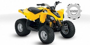 Can-Am DS 90 2014
