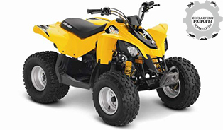 Can-Am DS 90 2015