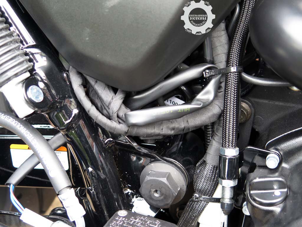 Фото мотоцикла Harley-Davidson Street 750 2015 — электропроводка наружу