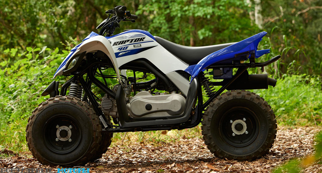 Квадроцикл Yamaha Raptor 90 детский YFM